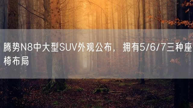 腾势N8中大型SUV外观公布，拥有5/6/7三种座椅布局