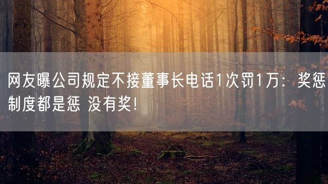 网友曝公司规定不接董事长电话1次罚1万：奖惩制度都是惩 没有奖！