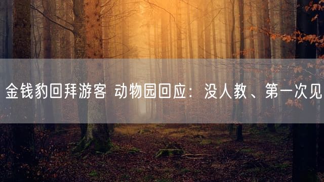 金钱豹回拜游客 动物园回应：没人教、第一次见